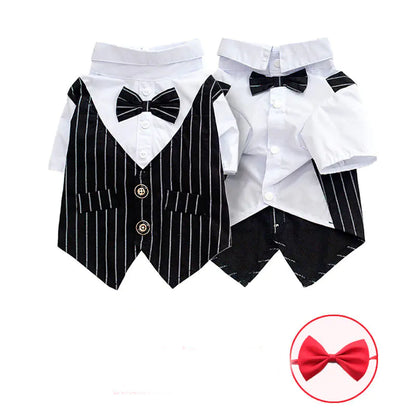 Simple Fashionable Pet Dog Shirt Suit