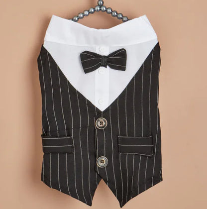 Simple Fashionable Pet Dog Shirt Suit